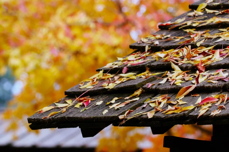 Dachkante und Dachrinne mit Herbstlaub