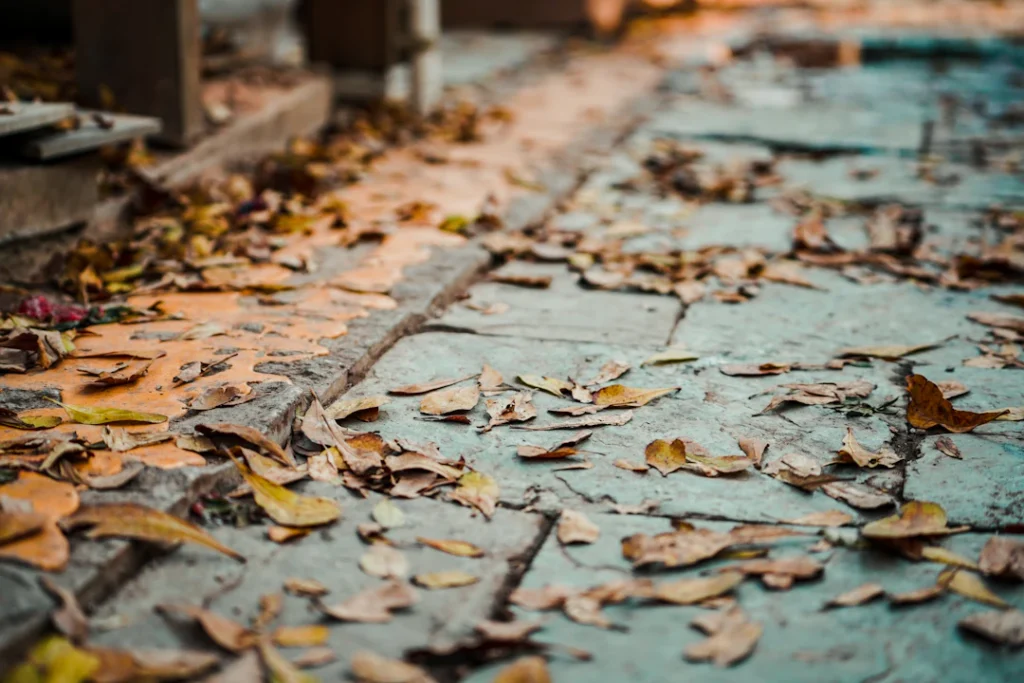 Herbstlaub auf einem Weg rund um ein Wohnhaus