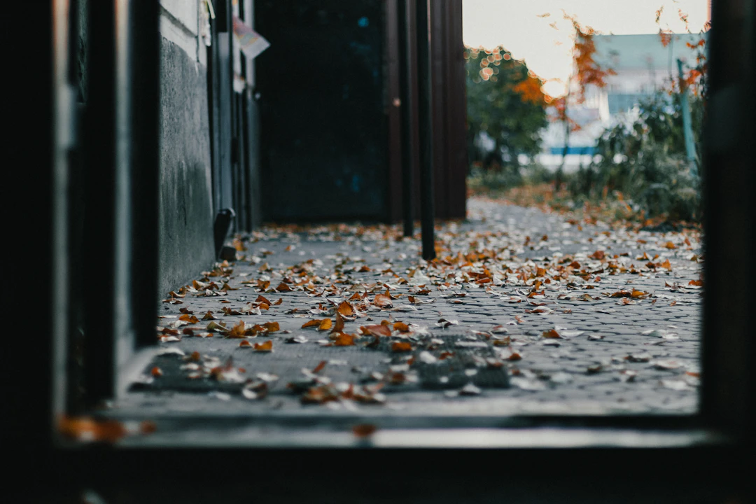 Herbstlaub wird von einem Weg rund ums Haus entfernt